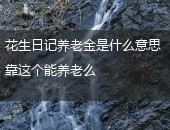 花生日记养老金