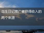 花生日记收入