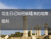 花生日记精准地推