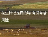 花生日记,花生日记是真的吗