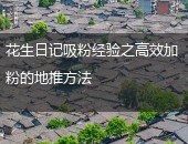 花生日记地推,花生日记地推方法