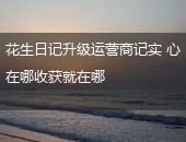 花生日记升级运营商