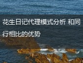 花生日记代理模式