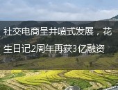 花生日记,花生日记3亿融资
