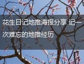 花生日记地推海报