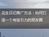 花生日记推广
