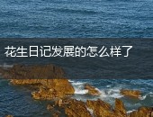 花生日记