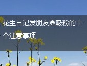 花生日记吸粉,花生日记朋友圈吸粉