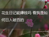 花生日记,花生日记能赚钱吗