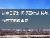 花生日记,花生日记收益
