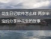 花生日记怎么样