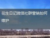 花生日记社群营销