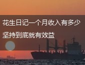 花生日记月收入
