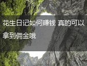 花生日记赚钱,花生日记如何赚钱