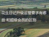 花生日记升级运营要求