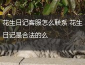花生日记,花生日记合法么