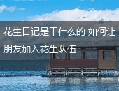 花生日记