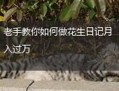 花生日记,花生日记月入过万