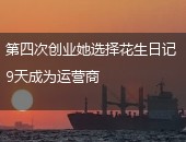 花生日记运营商