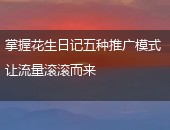 花生日记推广模式
