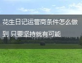花生日记运营商