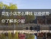 花生小店,花生小店怎么赚钱