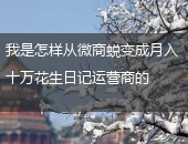 花生日记,花生日记运营商