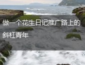 花生日记推广