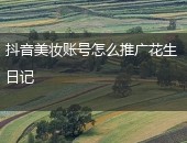花生日记推广