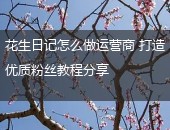 花生日记,花生日记怎么做运营商