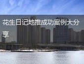 花生日记地推