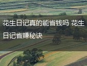 花生日记,花生日记省钱