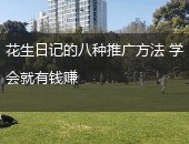 花生日记推广方法