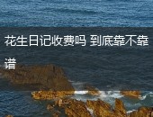 花生日记收费吗