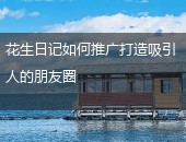 花生日记如,花生日记如何推广