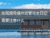 花生日记,视频号运营
