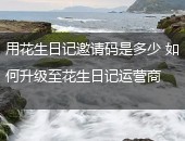 升级花生日记运营商