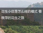 花生小店模式