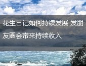 花生日记发圈收入