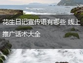 花生日记宣传语