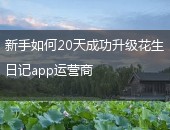 花生日记运营商