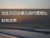 花生日记,花生日记代理