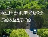 花生日记,花生日记如何赚钱