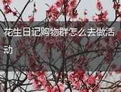 花生日记购物群