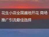 花生小店,花生小店拓店