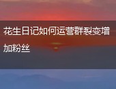 花生日记粉丝裂变