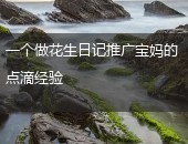 花生日记推广