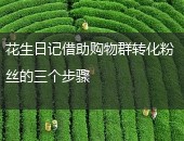 花生日记,购物群转化粉丝