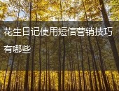 花生日记短信营销